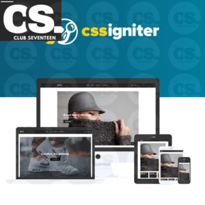 CSS Igniter Neto WooCommerce Theme