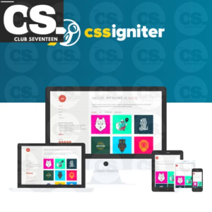 CSS Igniter Nico WordPress Theme