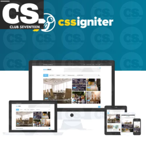 CSS Igniter Noozbeat WordPress Theme