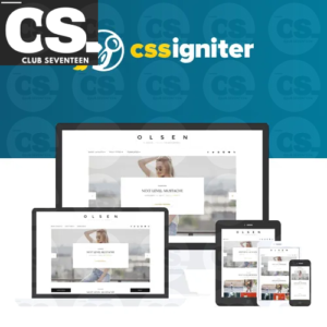 CSS Igniter Olsen WordPress Theme