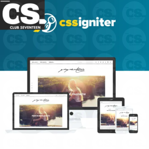 CSS Igniter Paperbag WordPress Theme