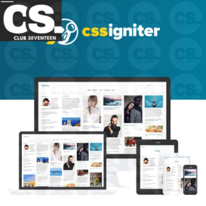 CSS Igniter Pinfinity WordPress Theme