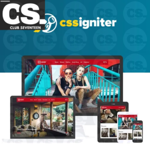 CSS Igniter Pinmaister WordPress Theme