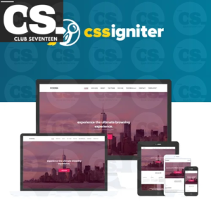 CSS Igniter Roxima WordPress Theme