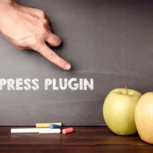 Plugin