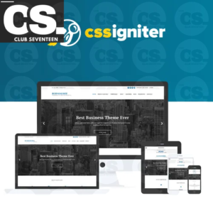 CSS Igniter Business3ree WordPress Theme