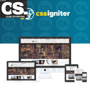 CSS Igniter BusinessTwo WordPress Theme