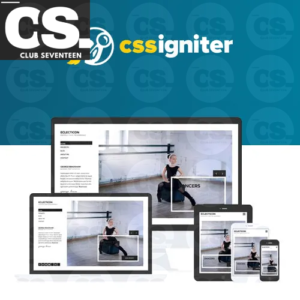 CSS Igniter Eclecticon WordPress Theme