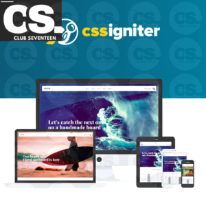 CSS Igniter Flevr Woocommerce Theme