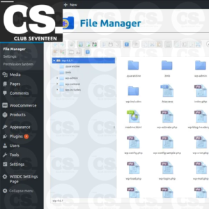 File Manager Plugin For WordPress