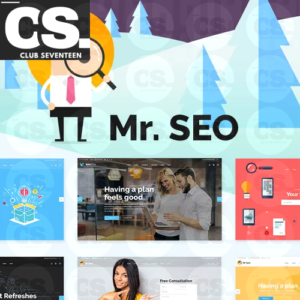 Mr. SEO | SEO, Marketing Agency and Social Media Theme