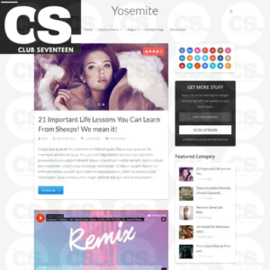 MyThemeShop Yosemite WordPress Theme