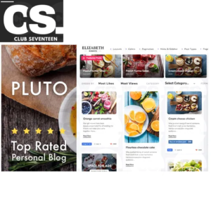 Pluto Clean Personal WordPress Masonry Blog Theme