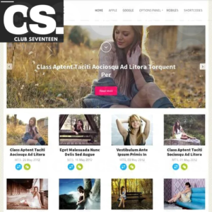 MyThemeShop Style WordPress Theme