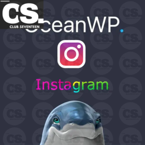 OceanWP Instagram