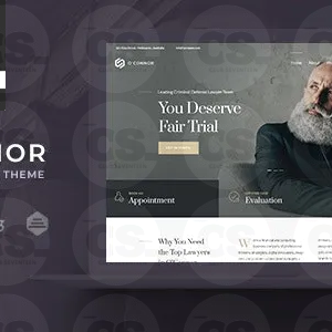 Oconnor – Law, Lawyer & Attorney WordPress Theme