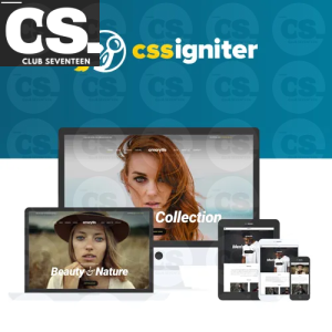 CSS Igniter Amaryllis WordPress Theme
