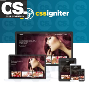 CSS Igniter Beaute WordPress Theme
