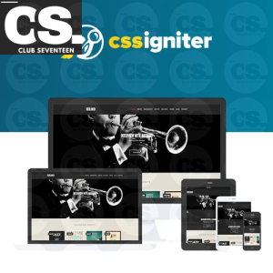 CSS Igniter Berliner WordPress Theme