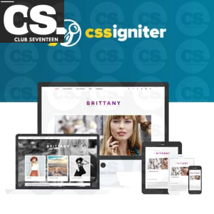 CSS Igniter Brittany WordPress Theme