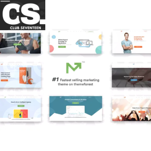 Marketing Pro – SEO WordPress Theme for SEO, Agency